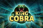 King Cobra